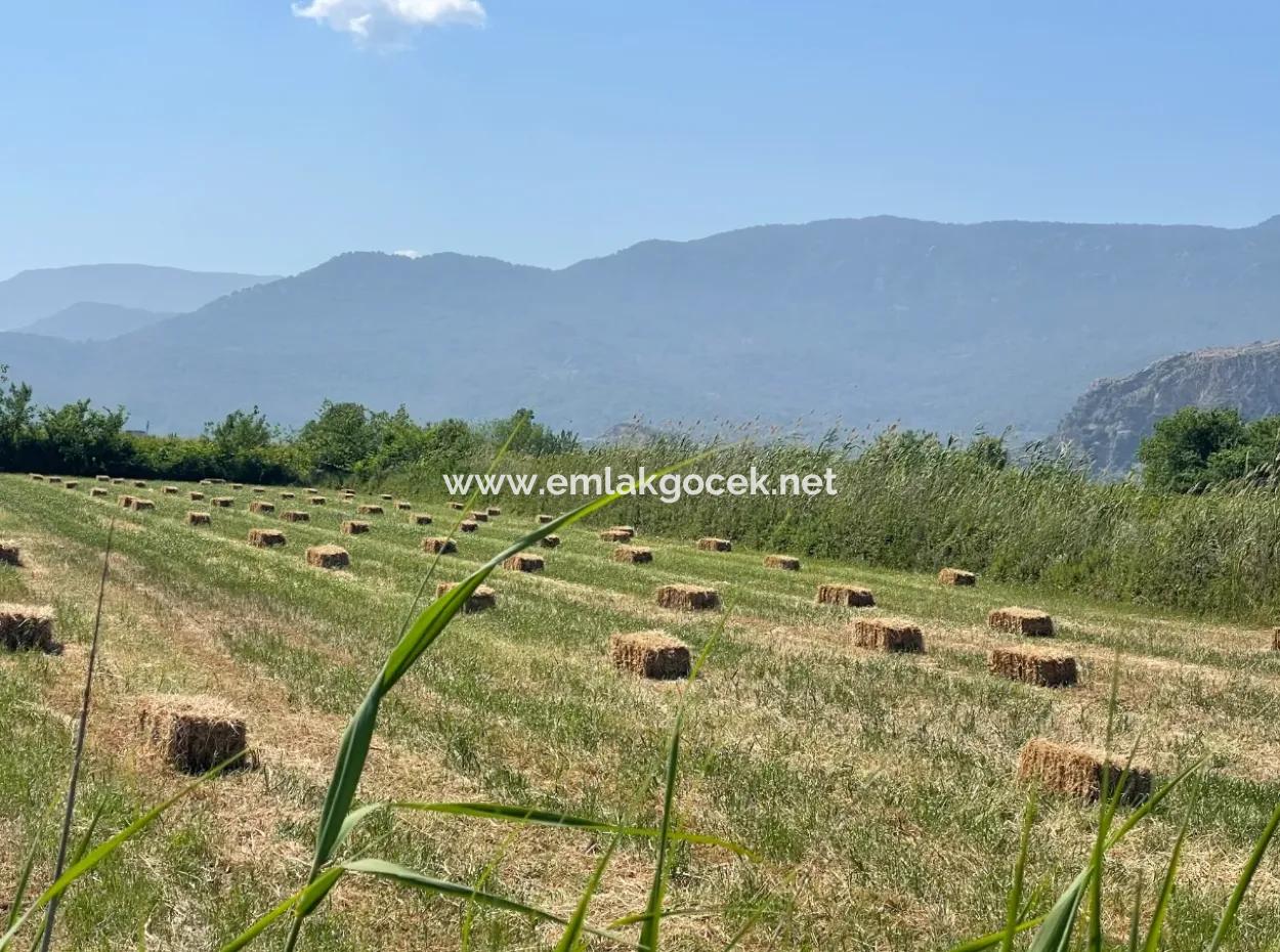 6.500 M2 Feld Zum Verkauf An Der Iztuzu-Straße In Dalyan