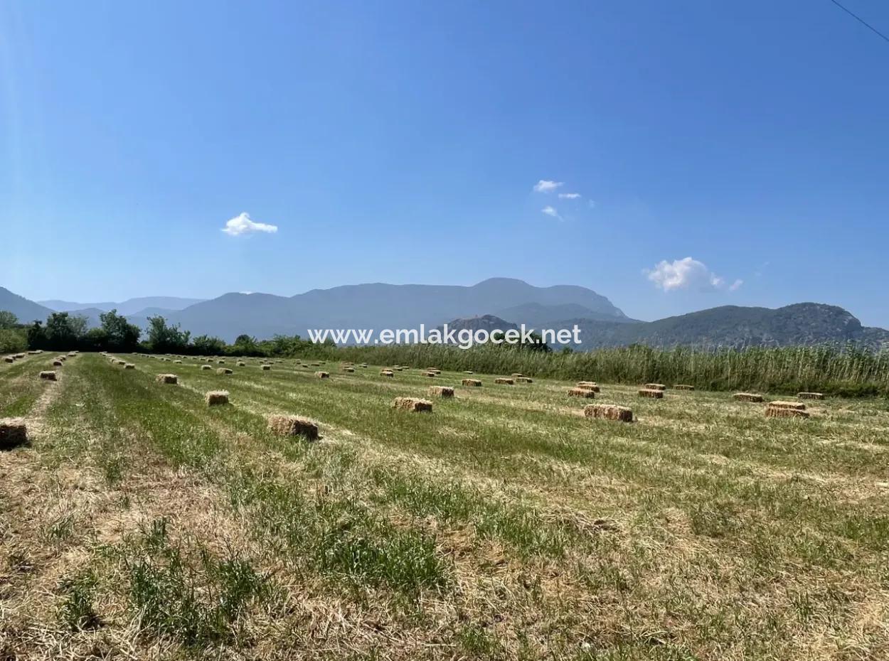 6.500 M2 Feld Zum Verkauf An Der Iztuzu-Straße In Dalyan