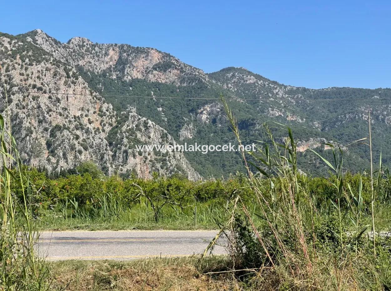 6.500 M2 Feld Zum Verkauf An Der Iztuzu-Straße In Dalyan