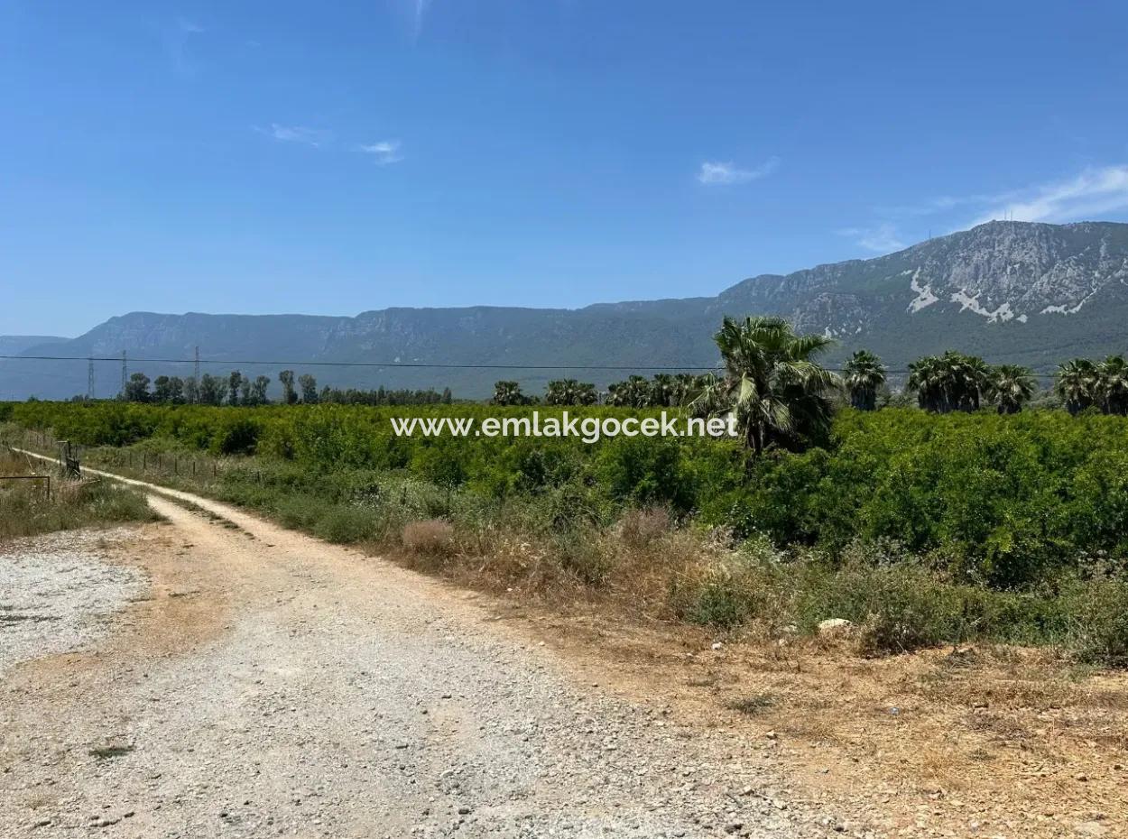 13.500 M2 Straßenfeld Zum Verkauf In Akyaka Akçapınar