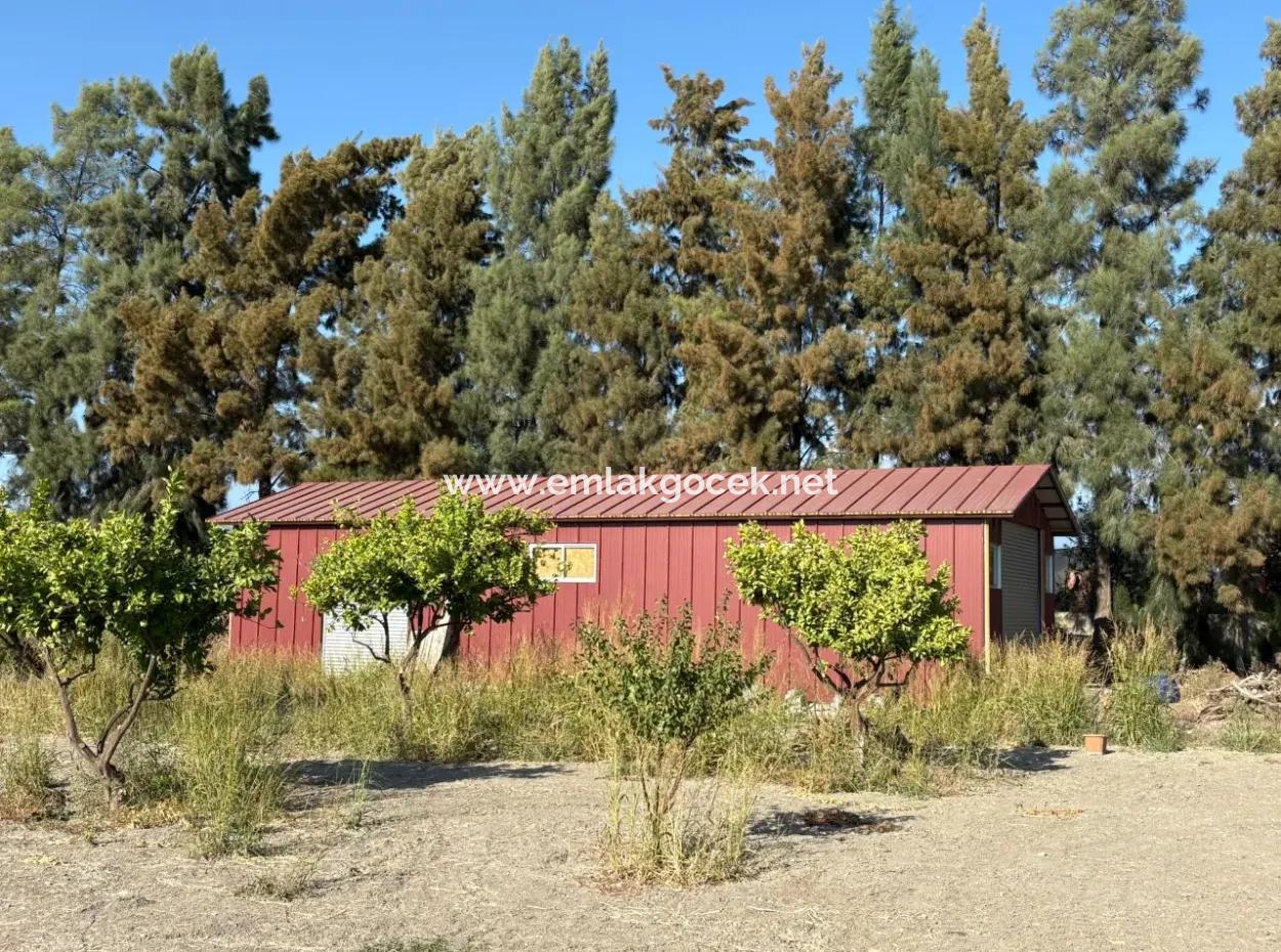 19.663M2 Ackerland Und Haus Zum Verkauf In Eskiköy