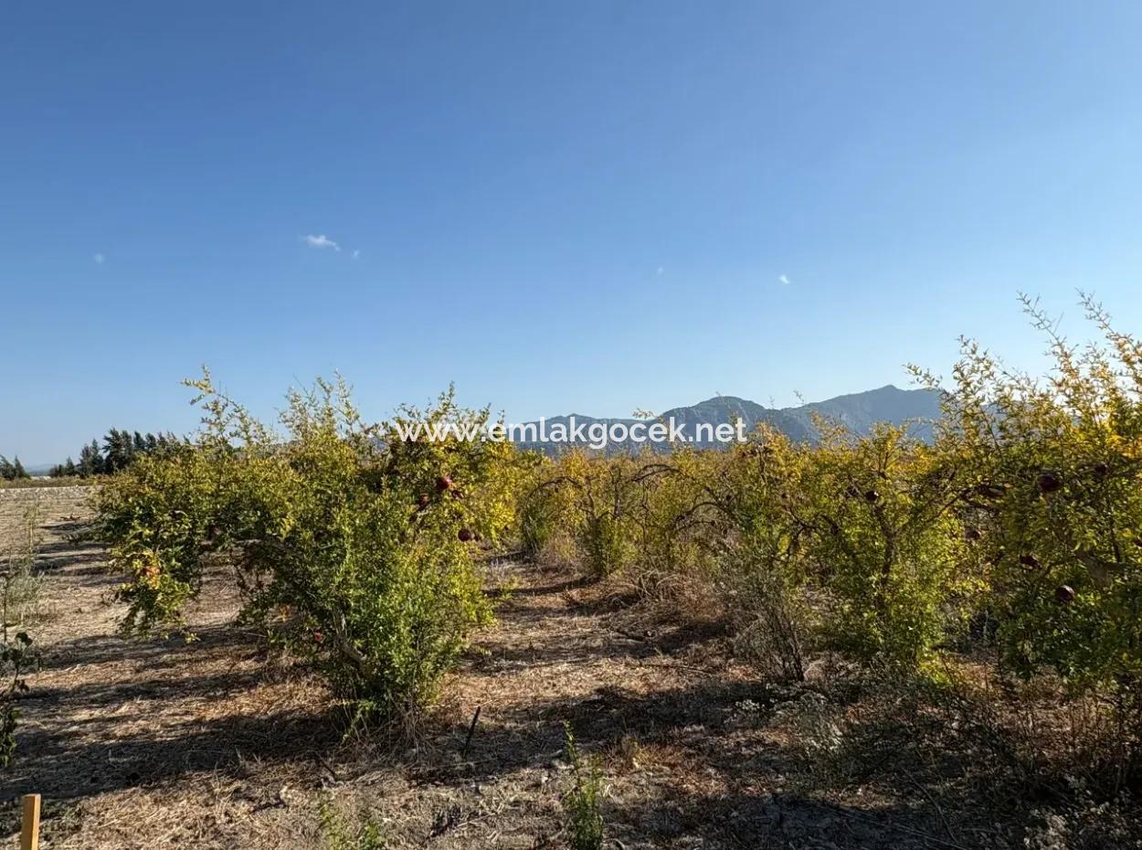 19.663M2 Ackerland Und Haus Zum Verkauf In Eskiköy