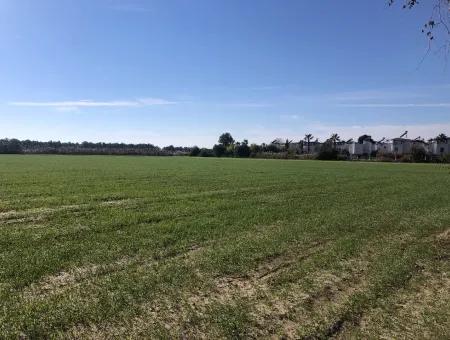 Land Zu Verkaufen In Sar'germede 30.000M2 Land Zum Verkauf Mit Meerblick