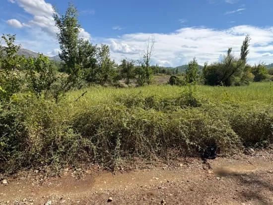10.500 M2 Zum Verkauf Feld In Köyceğiz Zeytinalanı