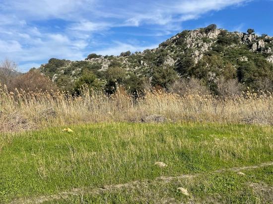 6800 M² Großes Grundstück In Dalyan Zu Verkaufen, 5% Wohnbebauungszone.