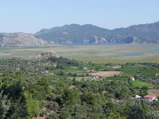 19.334 M² Großes Grundstück Zum Verkauf In Çandır, Köyceğiz.