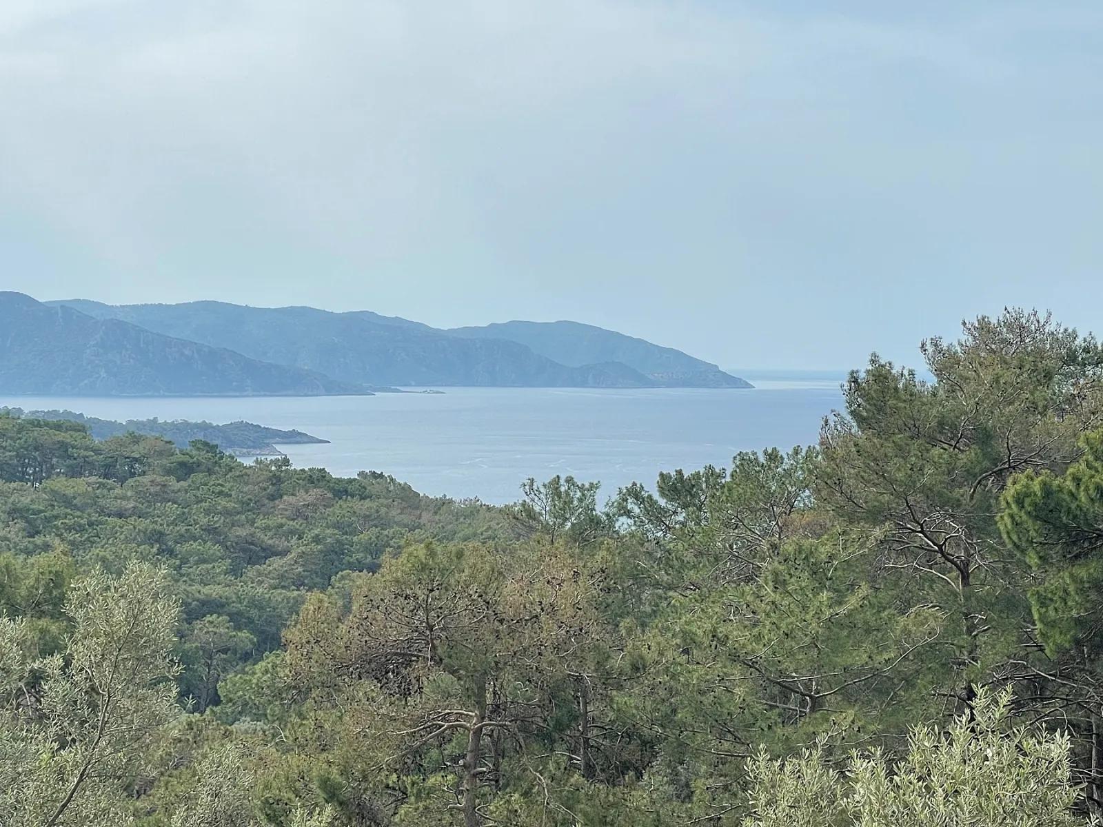 Köyceğiz Ekincik sea view 7.000m2 2b for sale olive grove