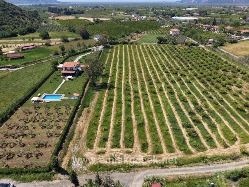 5100m2 Plot Of Land For Sale Near Dalyan Town Center.