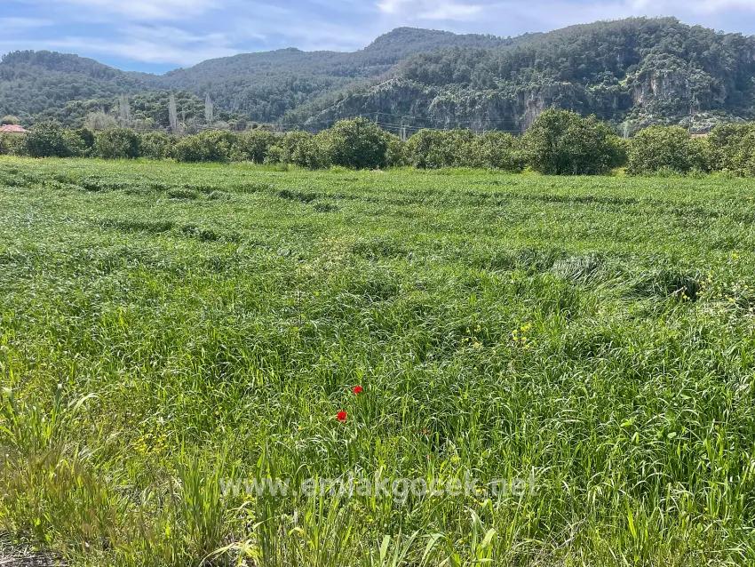 Archers' In Okçular'da 736m2 Olan 250m2 Construction Licensed For Sale Plot