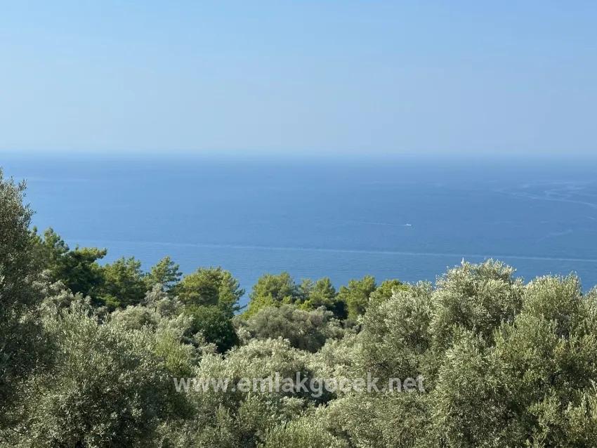 Field For sale in Çandır Nbh. Köyceğiz - Field Zoned - 21.000 m²
