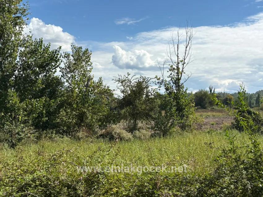 Field For sale in Zeytinalanı Nbh. Köyceğiz - Field Zoned - 10.500 m²