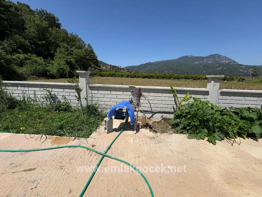 2+1 Bedroom Detached house For sale in Dalyan Nbh. Ortaca - 2.500 m²