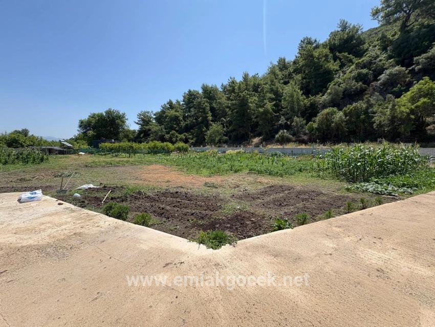 2+1 Bedroom Detached house For sale in Dalyan Nbh. Ortaca - 2.500 m²