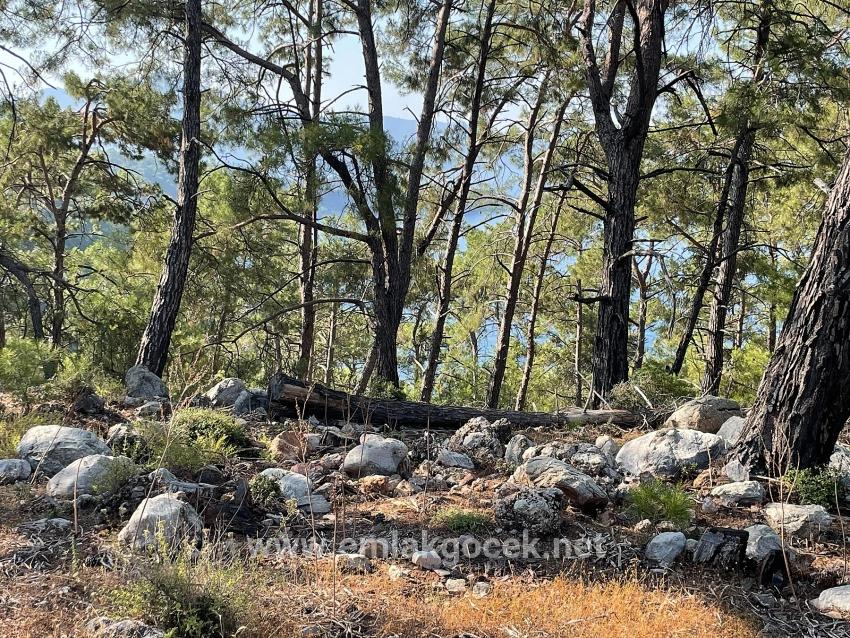 Bargain Real Estate Land For Sale With Sea View In Ekincik Çandır Arasın