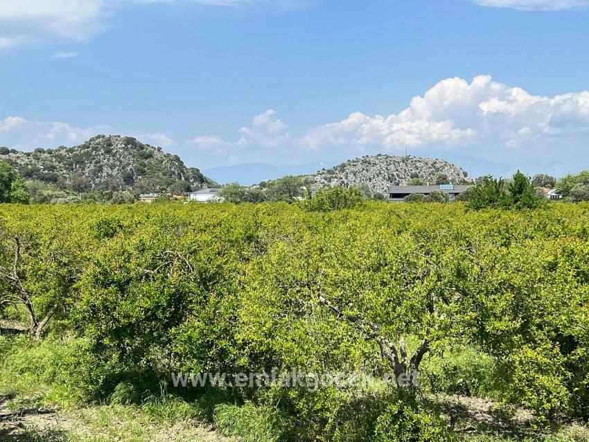 Land For sale in Dalyan Nbh. Ortaca - Housing Zoned - 5.100 m²