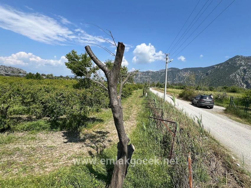Land For sale in Dalyan Nbh. Ortaca - Housing Zoned - 5.100 m²