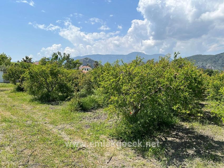 Land For sale in Dalyan Nbh. Ortaca - Housing Zoned - 5.100 m²