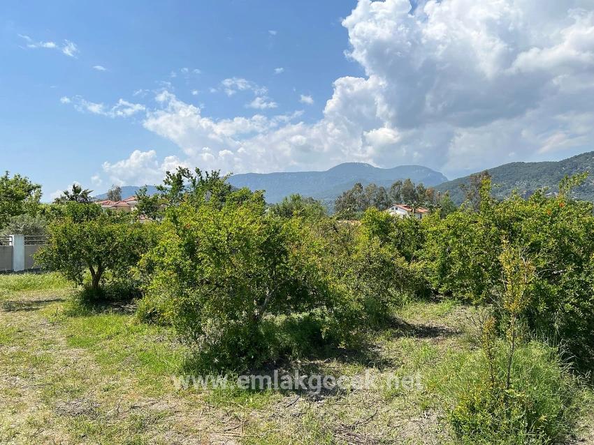Land For sale in Dalyan Nbh. Ortaca - Housing Zoned - 5.100 m²