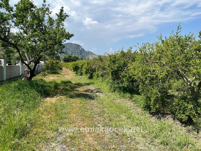 Land For sale in Dalyan Nbh. Ortaca - Housing Zoned - 5.100 m²