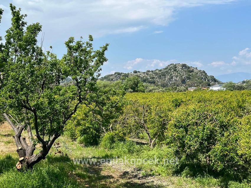 Land For sale in Dalyan Nbh. Ortaca - Housing Zoned - 5.100 m²
