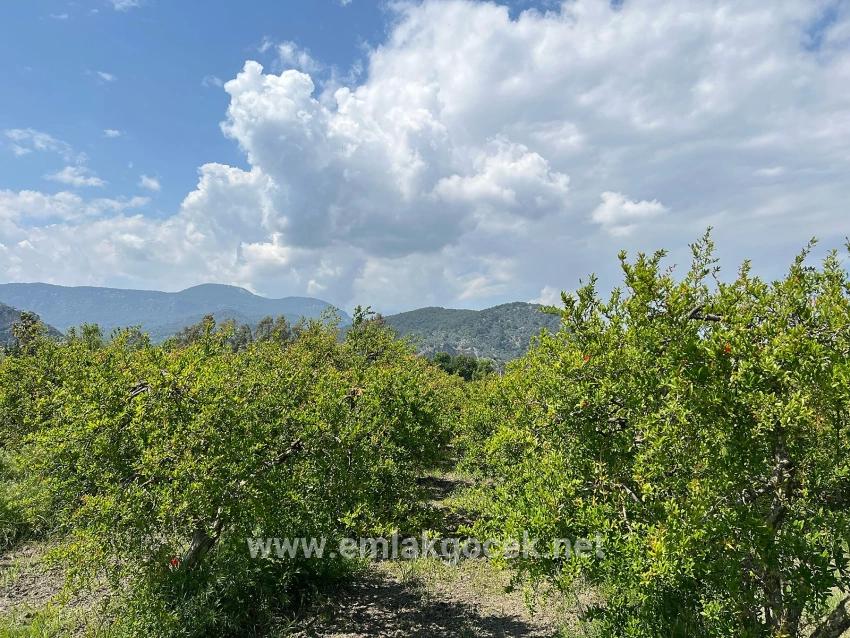Land For sale in Dalyan Nbh. Ortaca - Housing Zoned - 5.100 m²