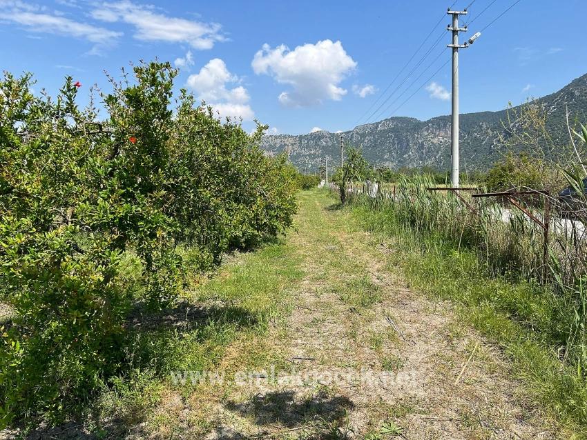 Land For sale in Dalyan Nbh. Ortaca - Housing Zoned - 5.100 m²