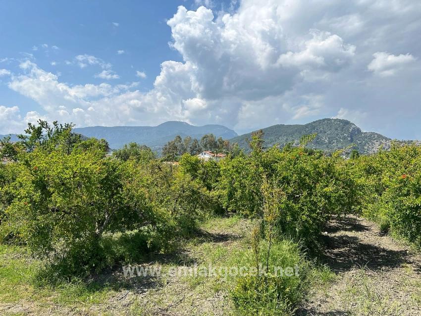 Land For sale in Dalyan Nbh. Ortaca - Housing Zoned - 5.100 m²
