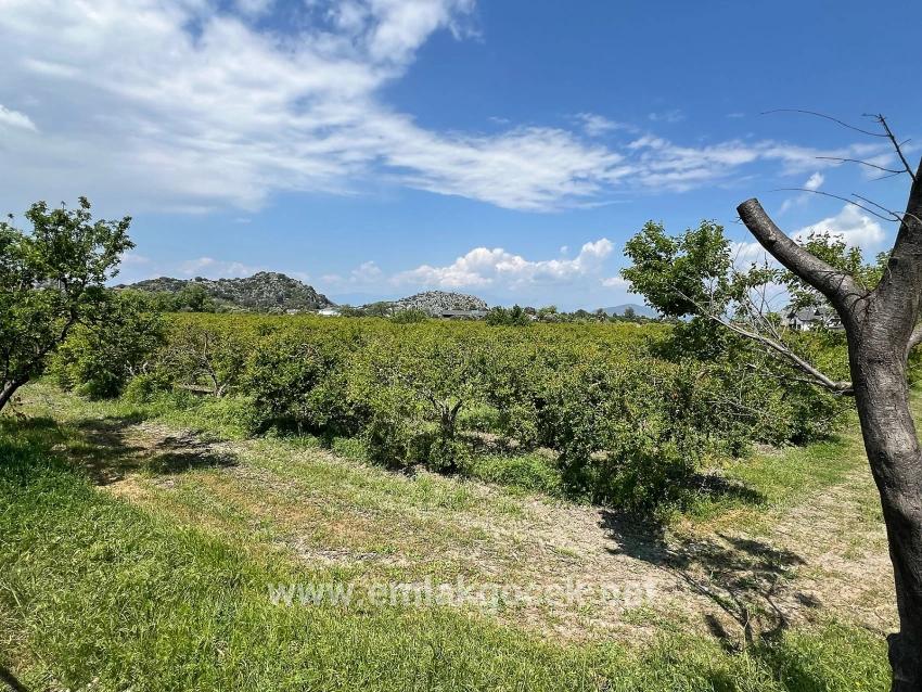 Land For sale in Dalyan Nbh. Ortaca - Housing Zoned - 5.100 m²