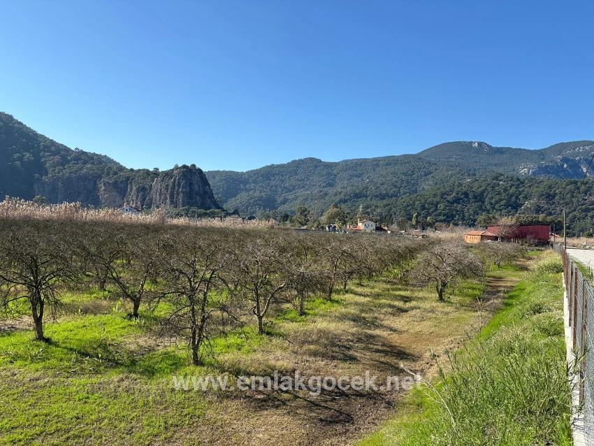 5985m2 Plot Of Land For Sale In Dalyan, Zoned For 5% Vineyard/orchard Use.