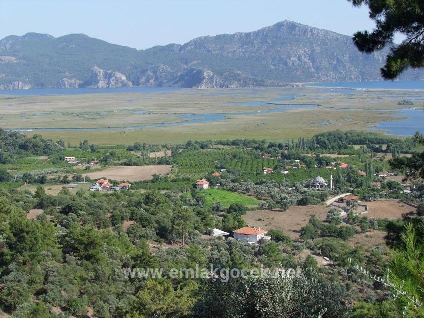 Field For sale in Çandır Nbh. Köyceğiz - Field Zoned - 19.334 m²