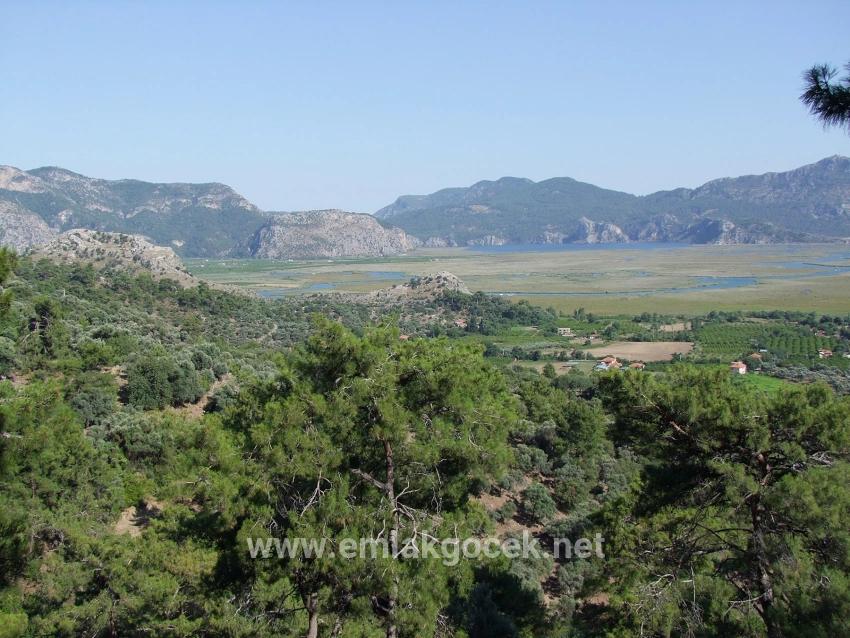 Field For sale in Çandır Nbh. Köyceğiz - Field Zoned - 19.334 m²