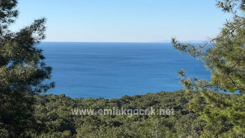 2b Field Of 5715m2 For Sale With Full Sea View In Çandır