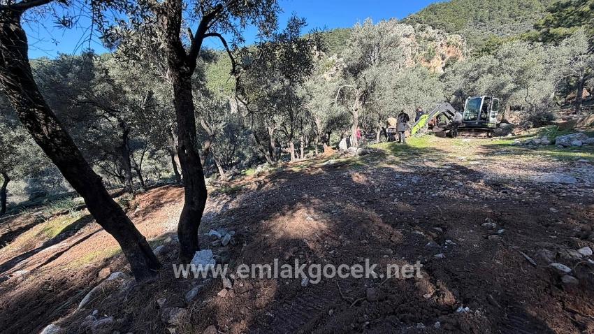 2b Field Of 5715m2 For Sale With Full Sea View In Çandır