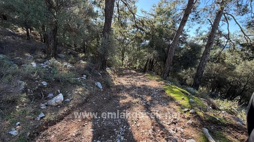 2b Field Of 5715m2 For Sale With Full Sea View In Çandır