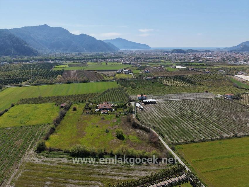 17.550m2 Vineyard-bahce For Sale Close To Dalyan Center