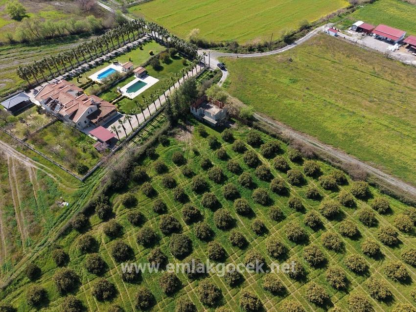 17.550m2 Vineyard-bahce For Sale Close To Dalyan Center