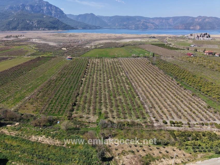 Field For sale in Eskiköy Nbh. Ortaca - Field Zoned - 16.710 m²