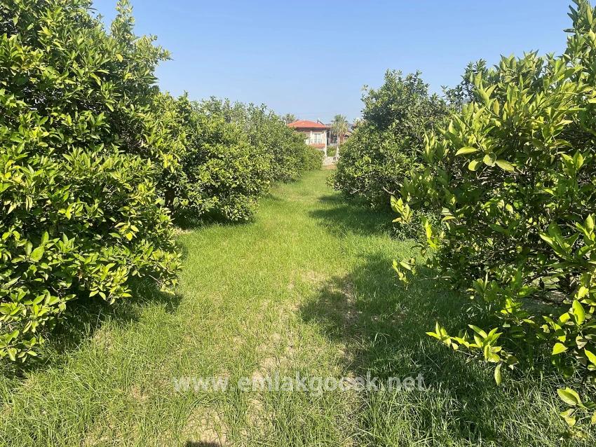 Land For sale in Dalyan Nbh. Ortaca - Housing Zoned - 722 m²