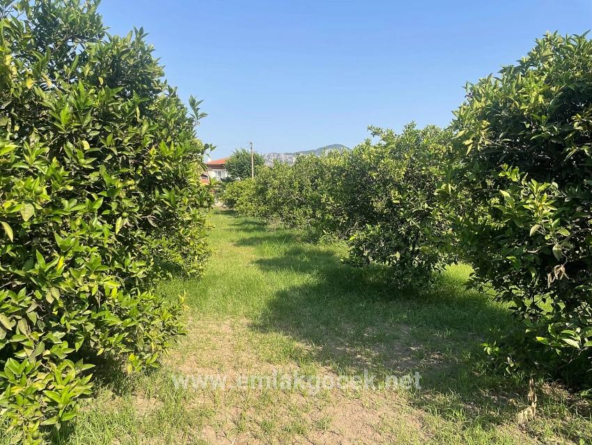 Land For sale in Dalyan Nbh. Ortaca - Housing Zoned - 722 m²