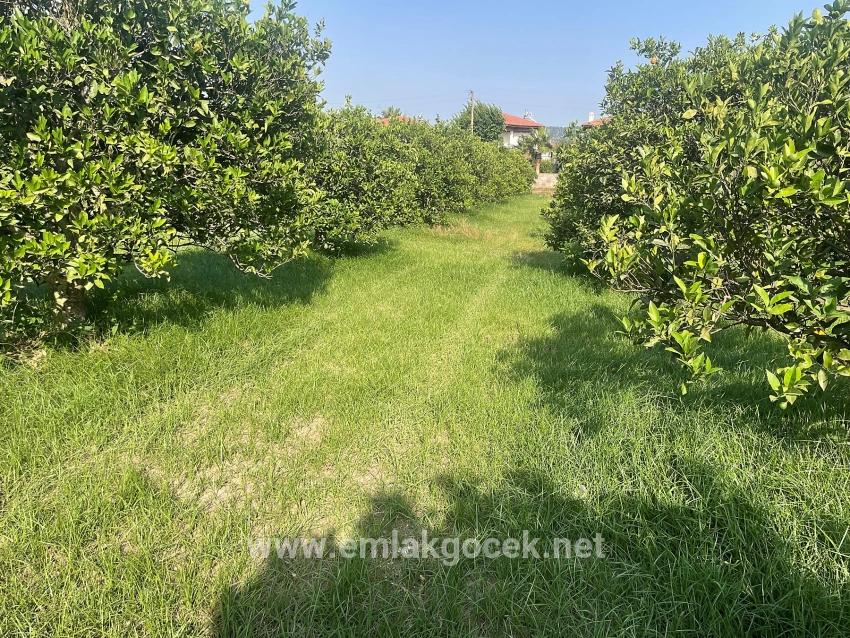 Land For sale in Dalyan Nbh. Ortaca - Housing Zoned - 722 m²