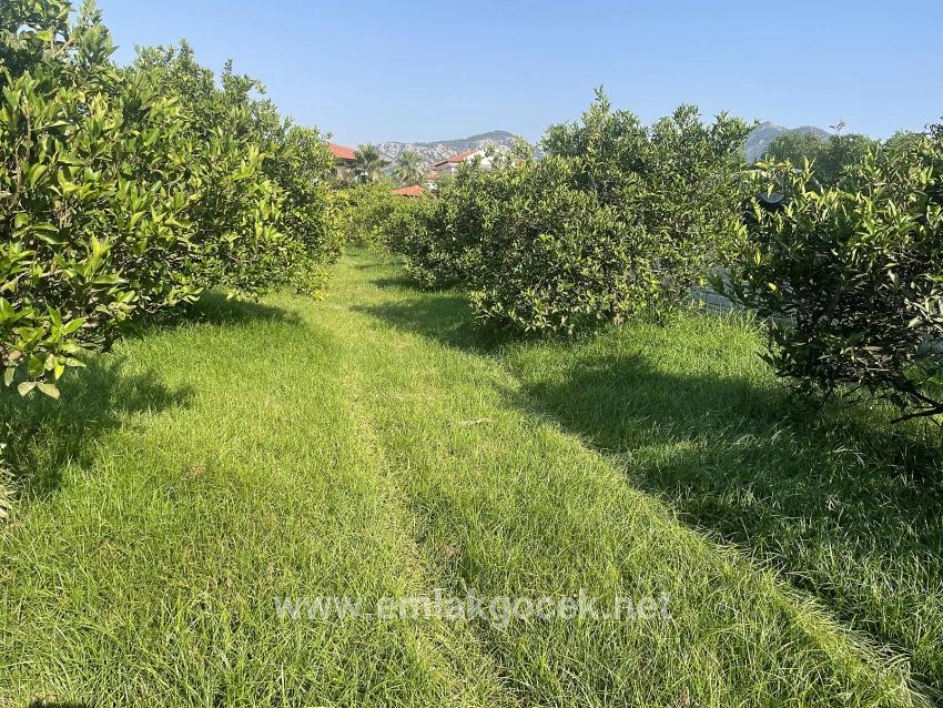 Land For sale in Dalyan Nbh. Ortaca - Housing Zoned - 722 m²