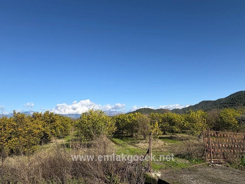 Field For sale in Tepearası Nbh. Ortaca - Vineyards & orchards Zoned - 23.000 m²
