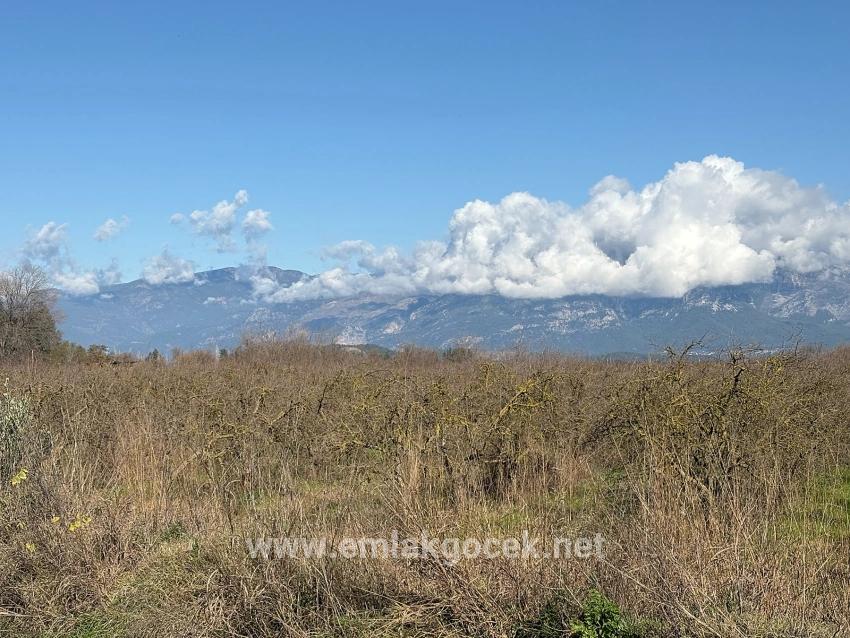 Field For sale in Tepearası Nbh. Ortaca - Vineyards & orchards Zoned - 23.000 m²