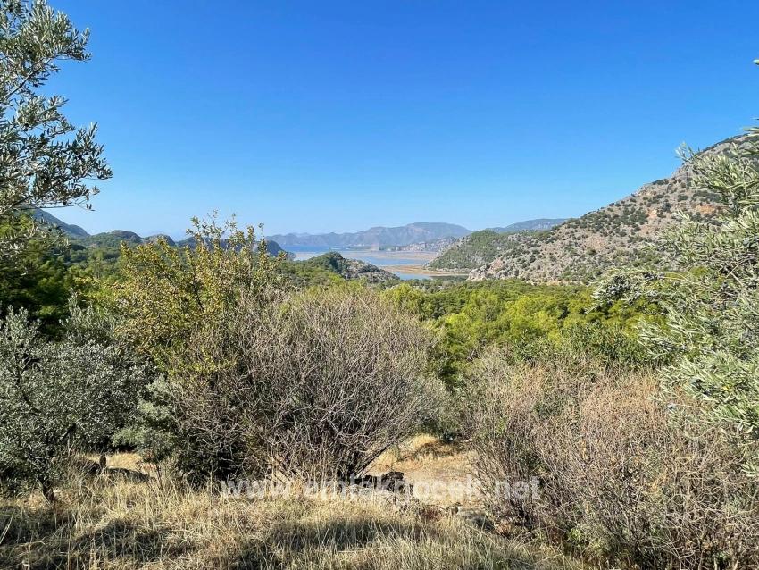 Land For sale in Gökbel Nbh. Ortaca - Housing Zoned - 3.514 m²