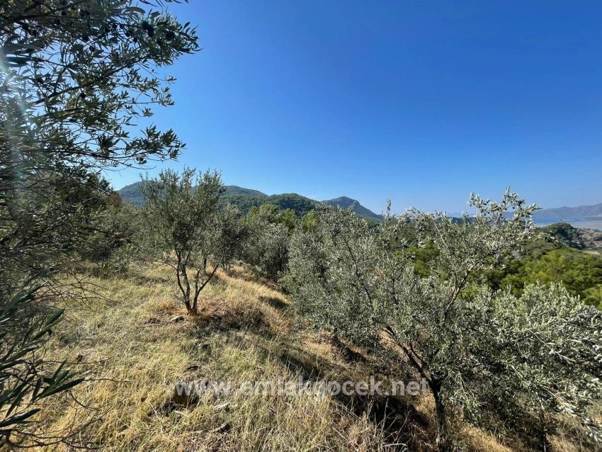 Land For sale in Gökbel Nbh. Ortaca - Housing Zoned - 3.514 m²