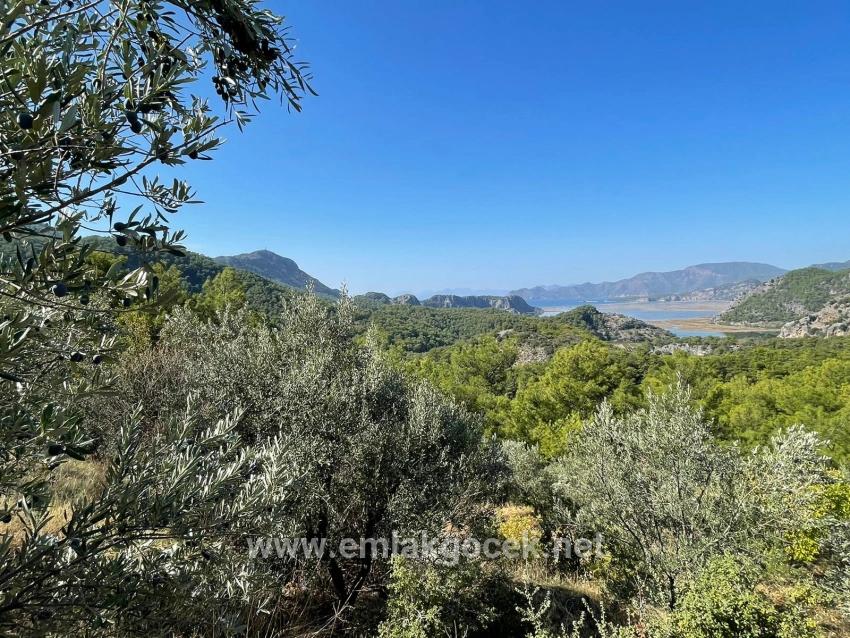 Land For sale in Gökbel Nbh. Ortaca - Housing Zoned - 3.514 m²