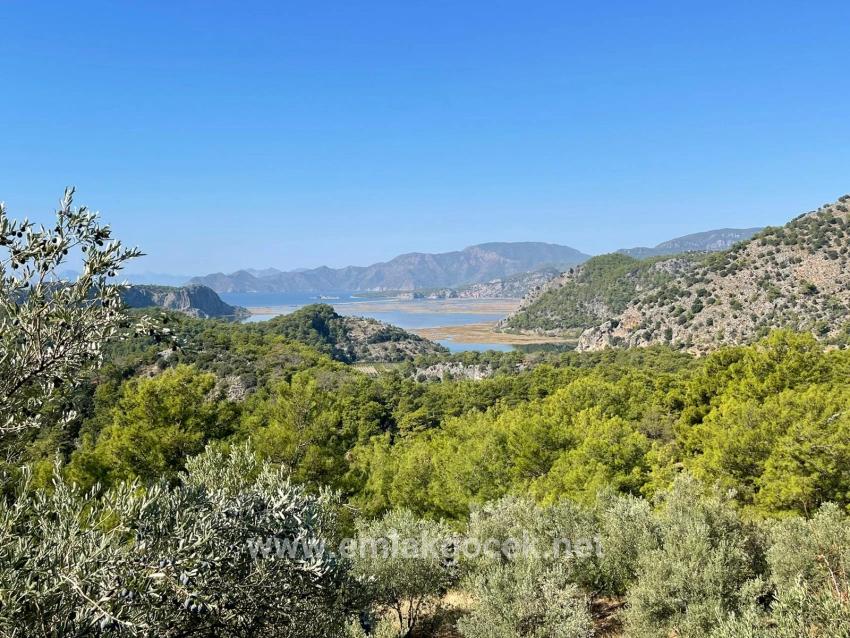 Land For sale in Gökbel Nbh. Ortaca - Housing Zoned - 3.514 m²