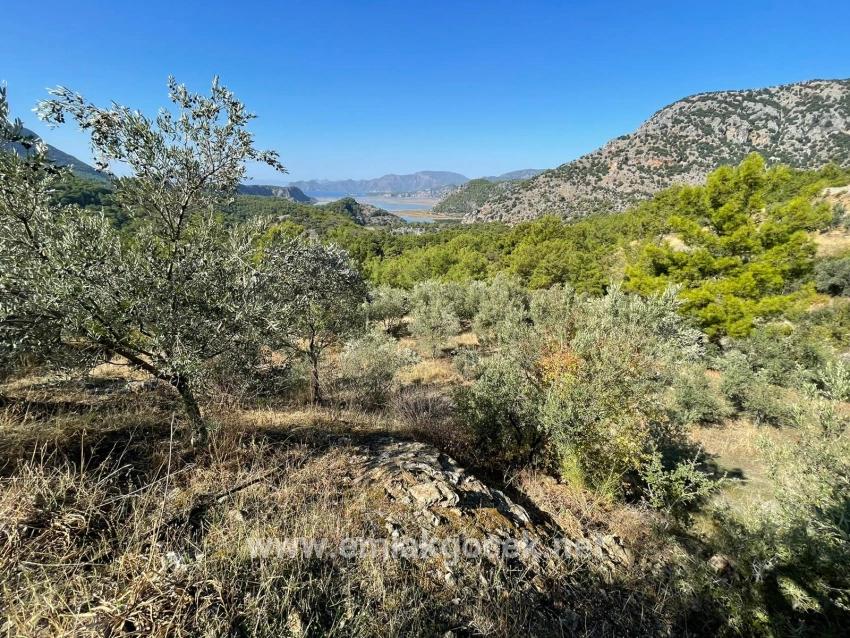 Land For sale in Gökbel Nbh. Ortaca - Housing Zoned - 3.514 m²