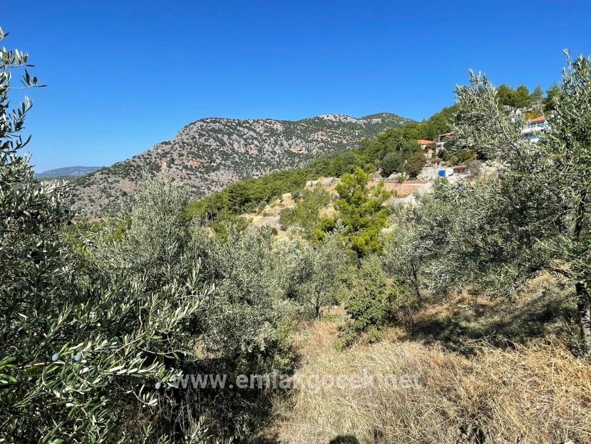 Land For sale in Gökbel Nbh. Ortaca - Housing Zoned - 3.514 m²