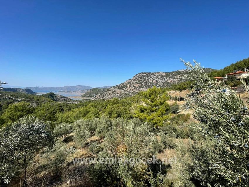 Land For sale in Gökbel Nbh. Ortaca - Housing Zoned - 3.514 m²